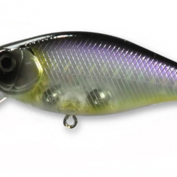 Isca Fury Banzai 60F